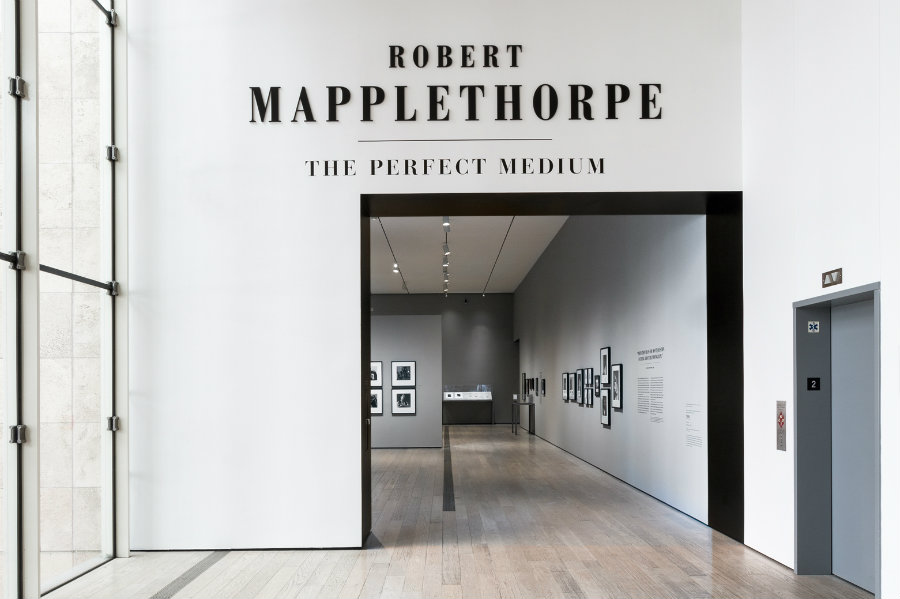 Robert Mapplethorpe- The Perfect Medium 2