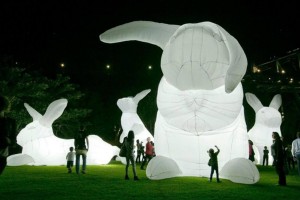 Intrude bunnies amanda parer