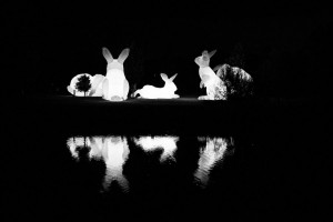 Intrude amanda parer