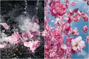 roses louis vuitton perfume
