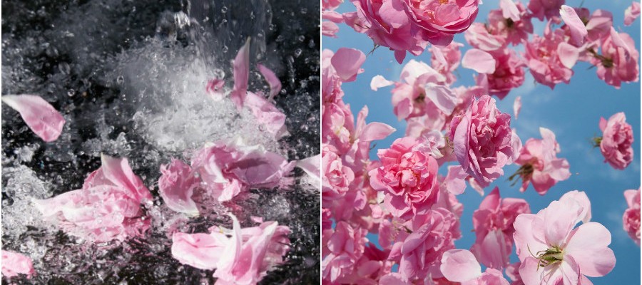 roses louis vuitton perfume