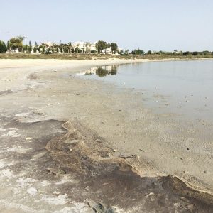 larnaca salted lake