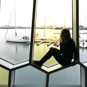 The Harpa