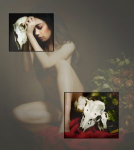Yoram Roth_Small vanitas with skulls_2014_coypright Yoram Roth_courtesy CAMERA WORK