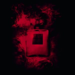 chanel no 5 red bottle