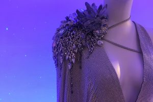 swarovski fw1920 1